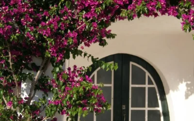 Quiero vender mi casa en Ciutadella de Menorca, ¿por dónde empiezo?